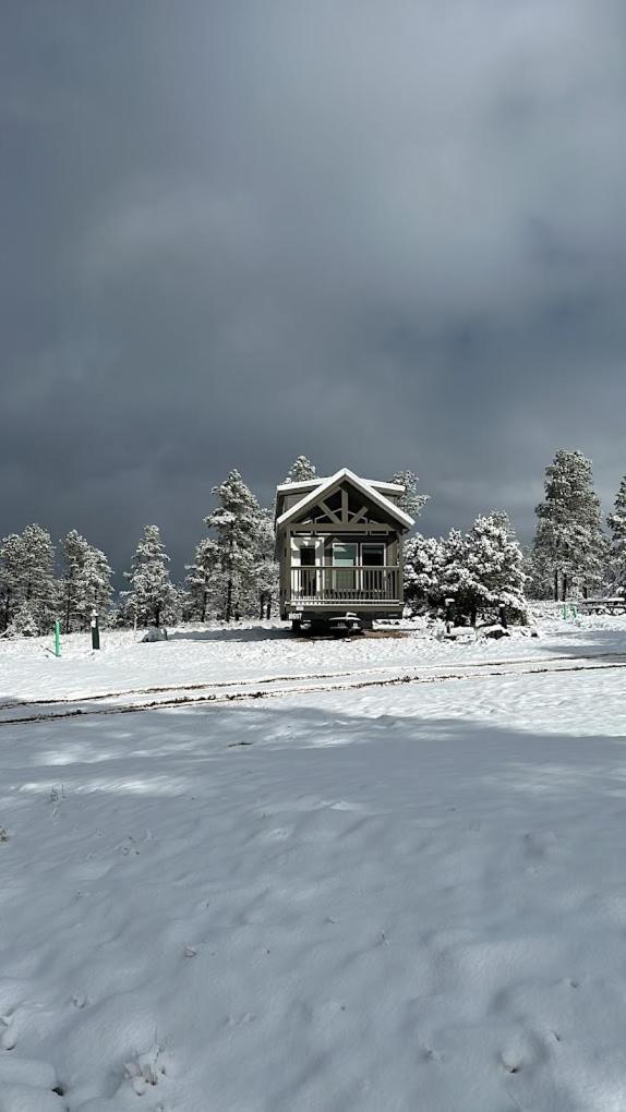 Cozy Cabin By Forest View 4B Williams Εξωτερικό φωτογραφία